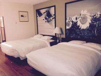 Super 8 By Wyndham Smoky Lake Camera foto